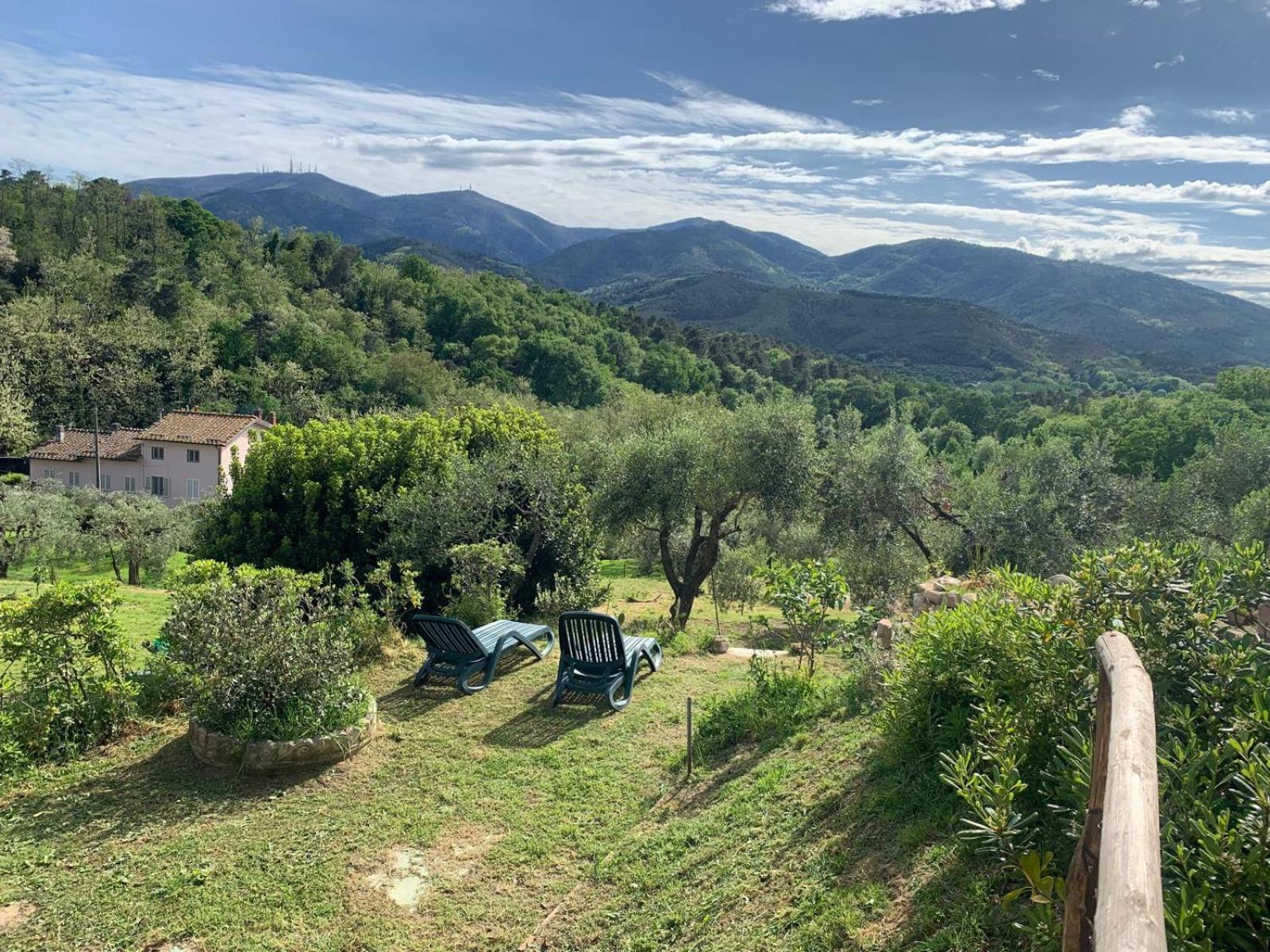 La Capanna Di Arturo Piano Terra Villa Capannori Luaran gambar