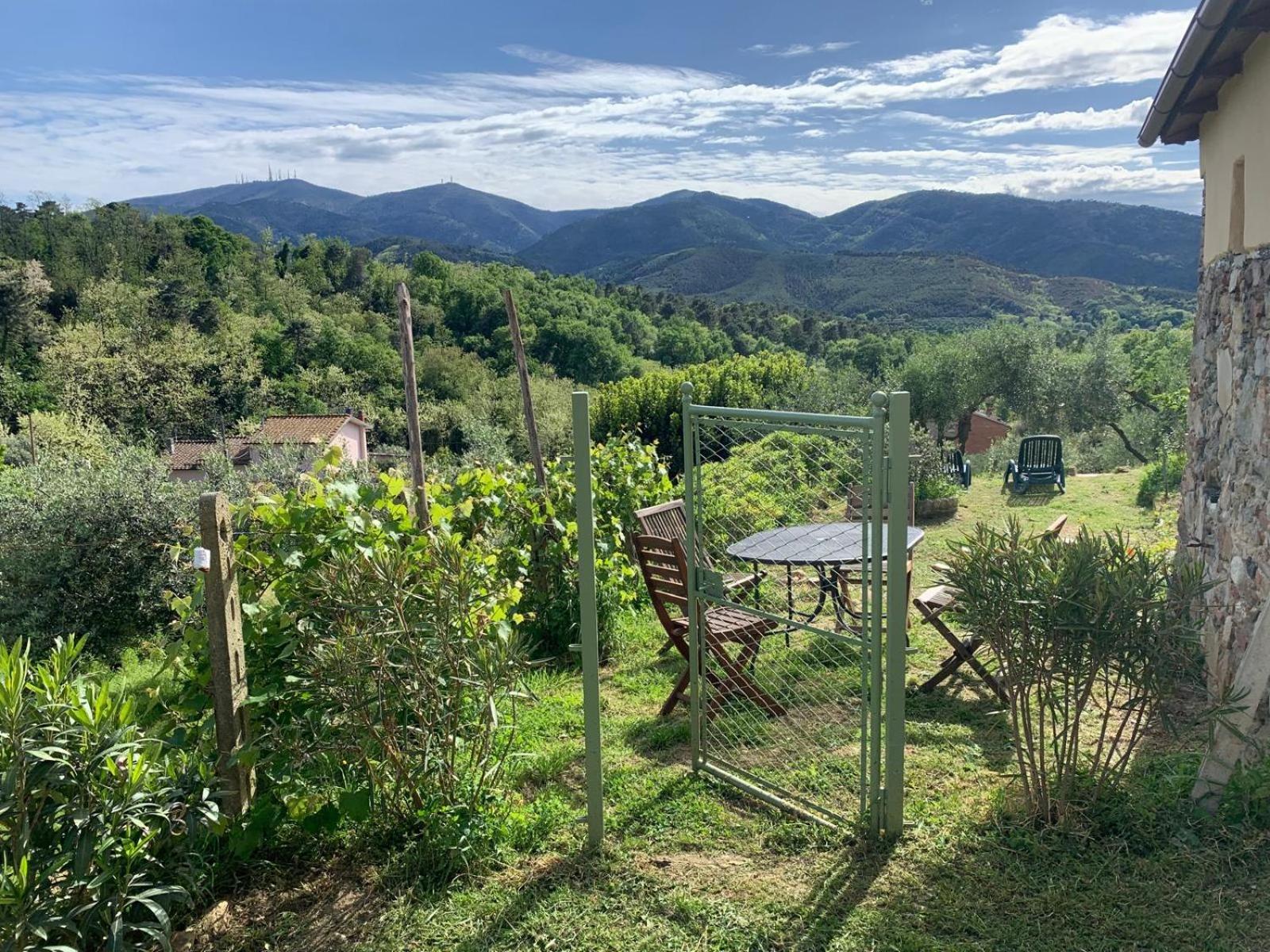 La Capanna Di Arturo Piano Terra Villa Capannori Luaran gambar